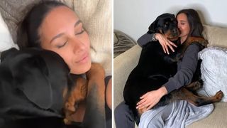 Cuddly Rottweiler snuggles into owner after nobody wanted to stroke him at the park 