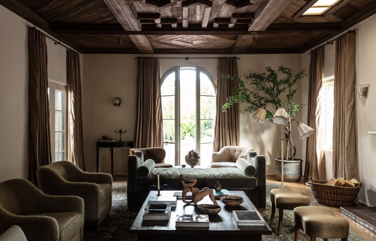 indoor plants and tree in living room by Jake Arnold