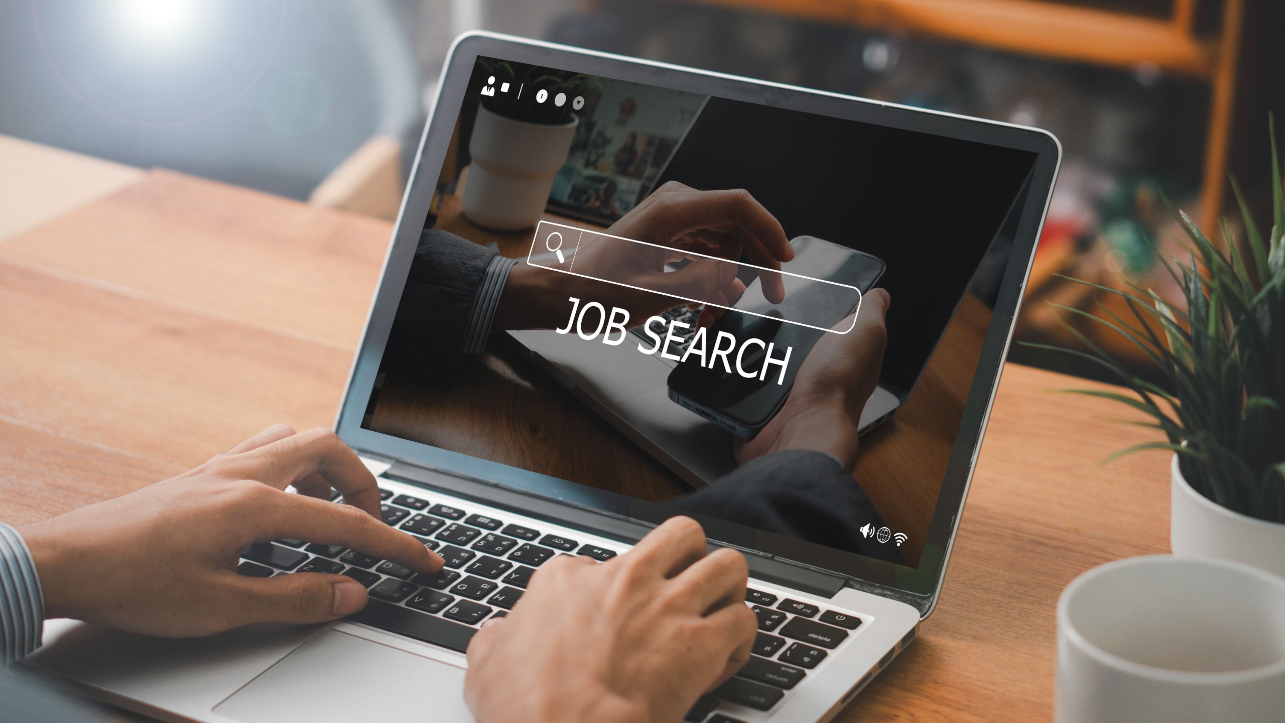 job search