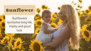 Baby in a sunflower field