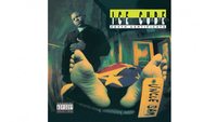   Ice Cube: Death Certificate