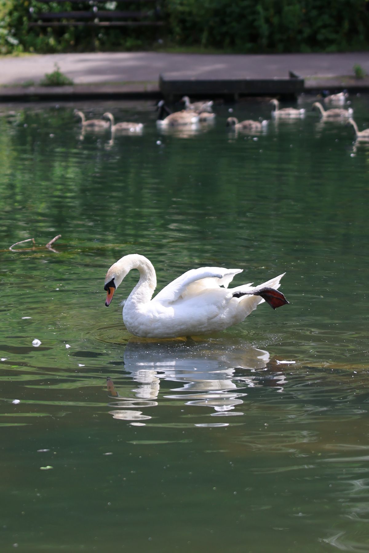 A photo of a bird taken on a Canon EOS R6 Mark III
