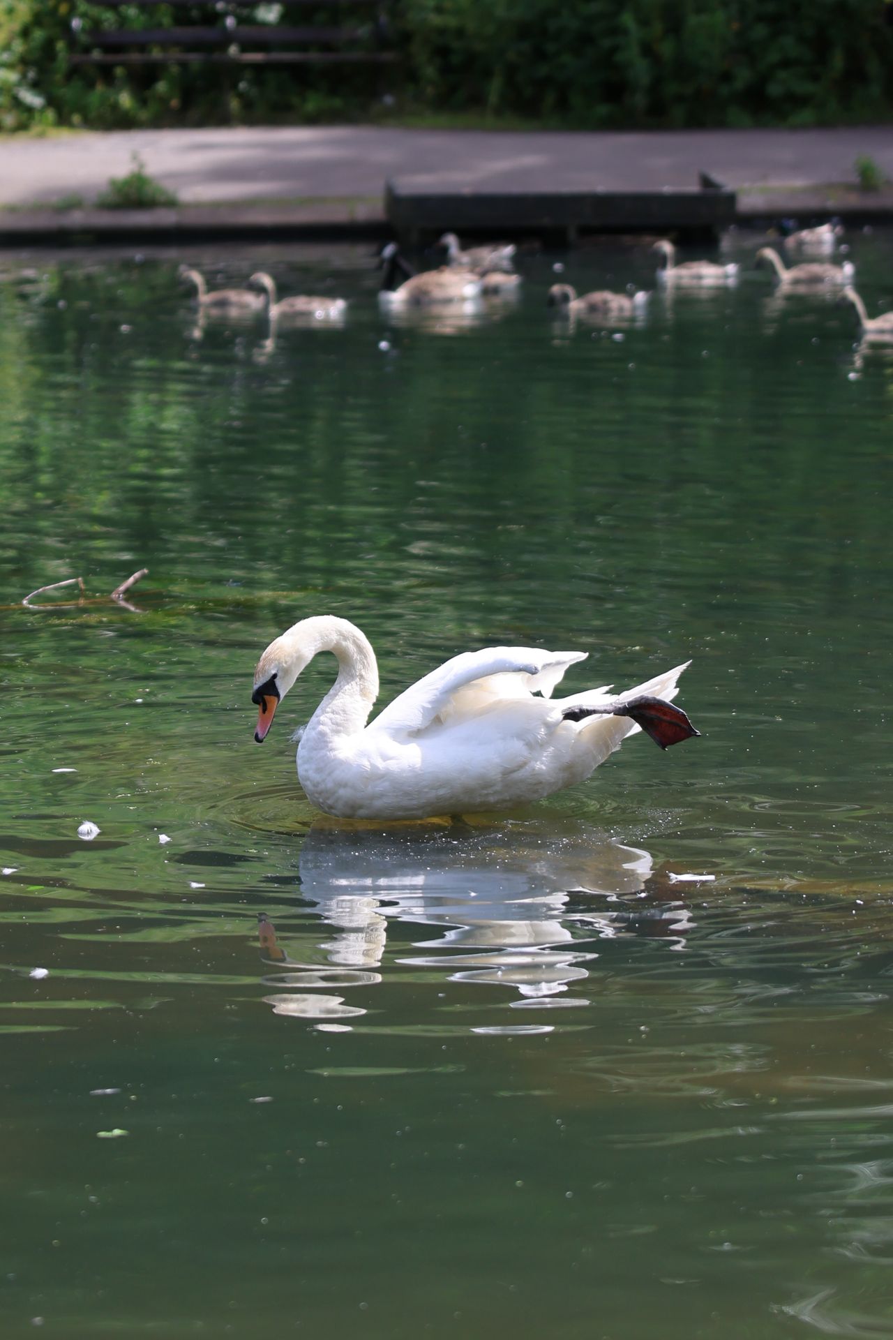 A photo of a bird taken on a Canon EOS R6 Mark III