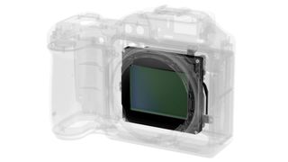 Fujifilm GFX 100 II vs Hasselblad X2D 100C