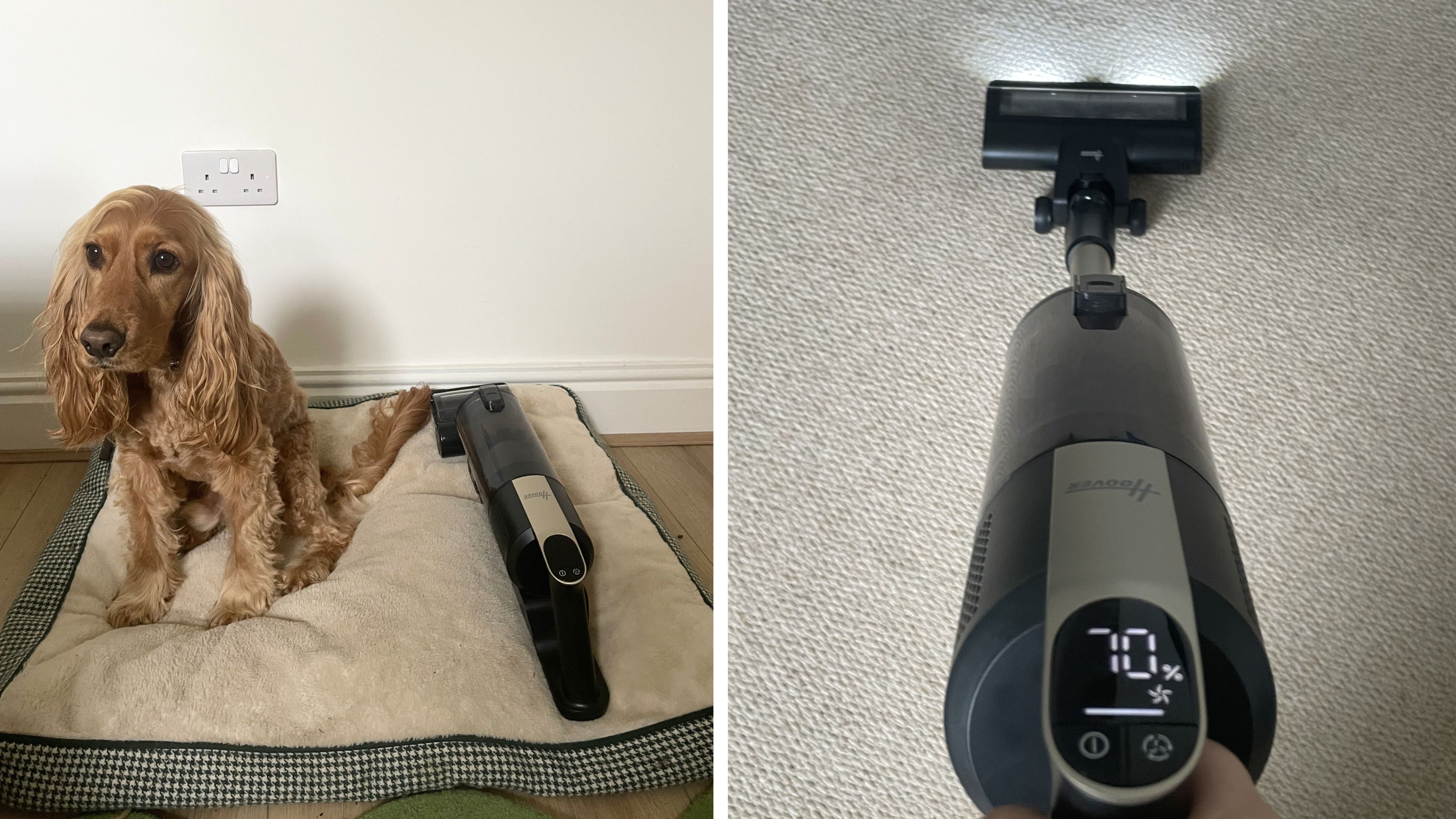 Dog sitting on a dog bed with the handheld Hoover HF3 vacuum next to it, next to another image of the same vacuum vacuuming cream carpet