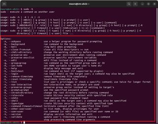 Sudo for Linux options