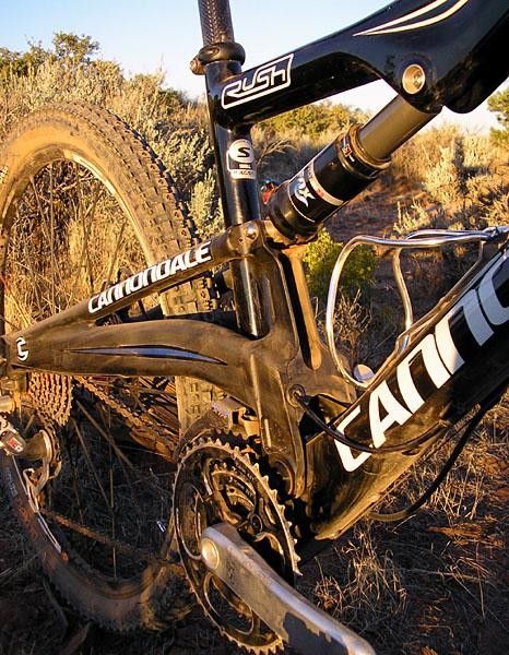 The rear derailleur
