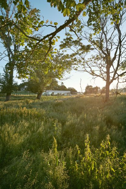 CF Møller Architects creates invisible house in Norway | Wallpaper