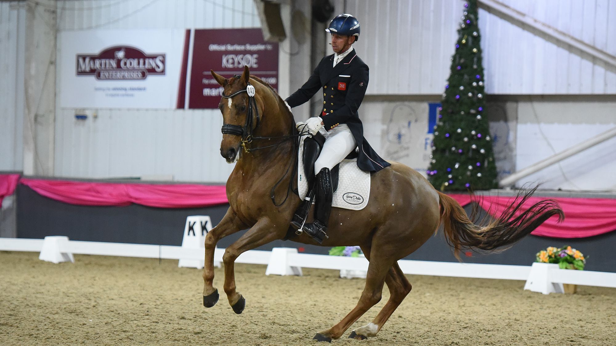 ‘Reunited in heaven’: sad farewell to ‘one in a million’ mare who represented her country