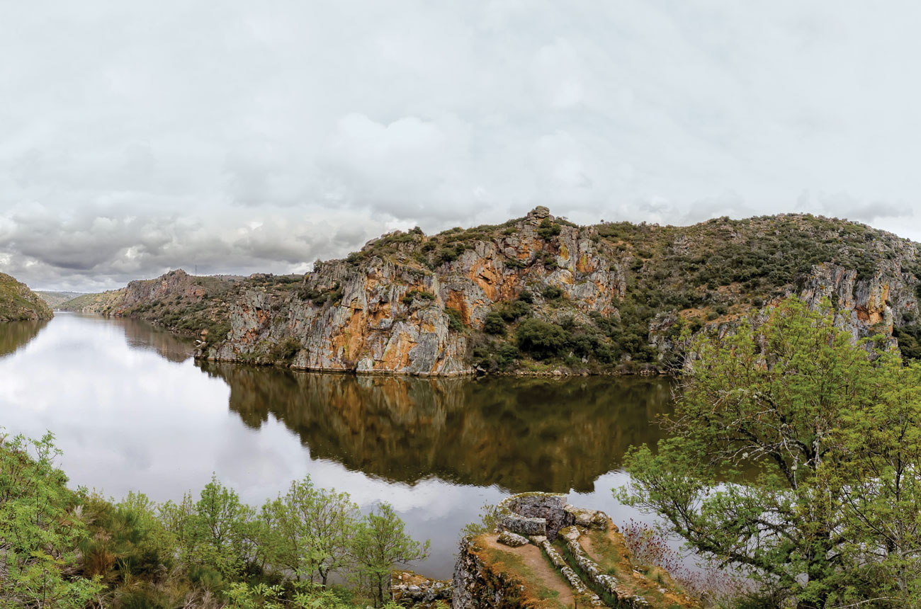 Castilla y Le&oacute;n