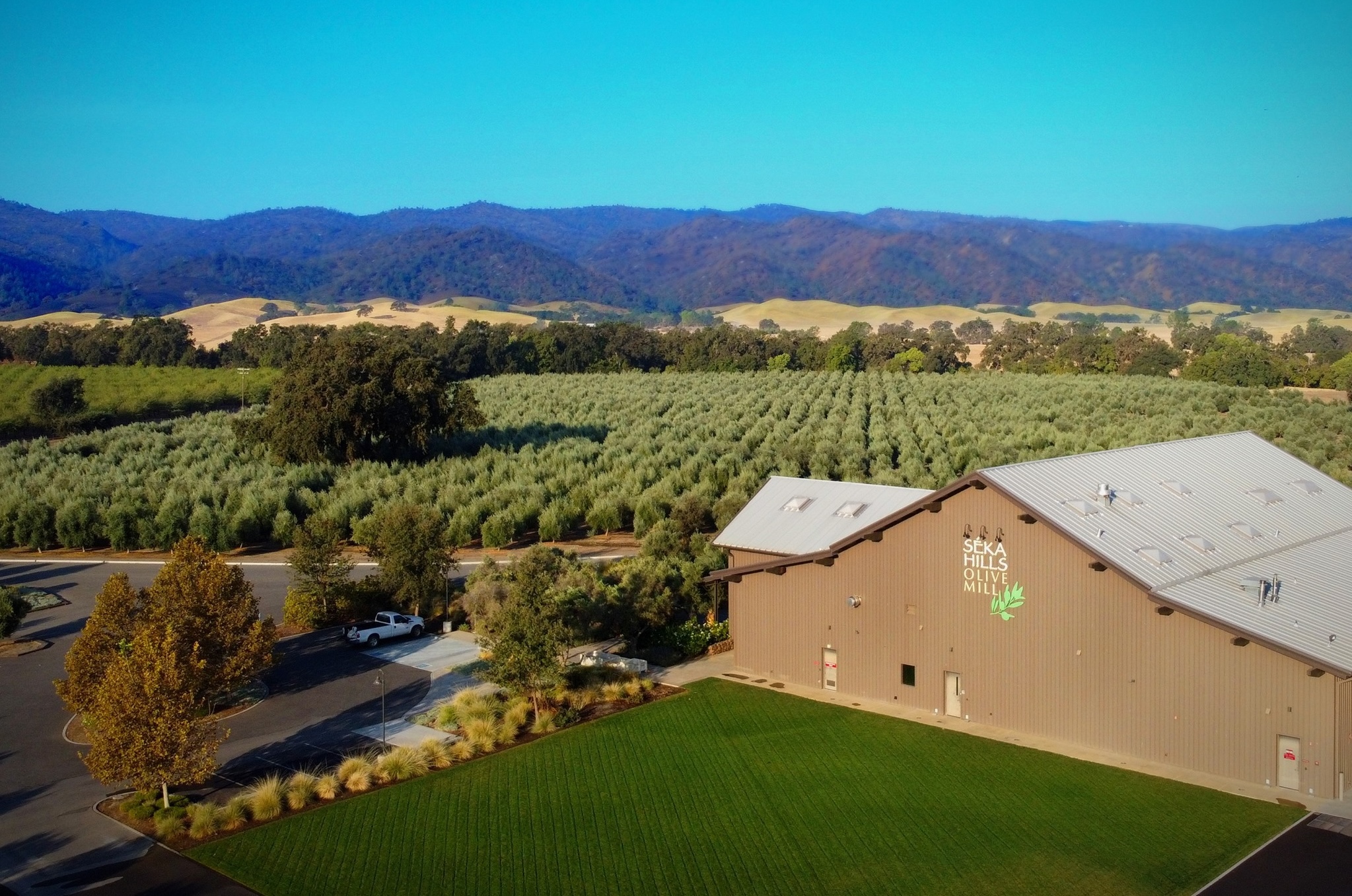 The S&eacute;ka Hills tasting room set amid a landscape of olive groves, fields and the Blue Hills