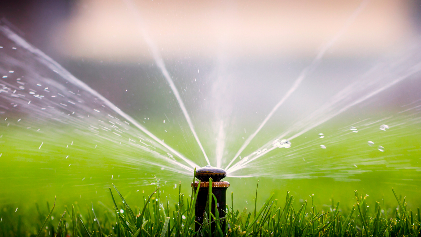 Best Garden Sprinkler 2023: Top Lawn Sprinklers To Water Your Home Turf ...