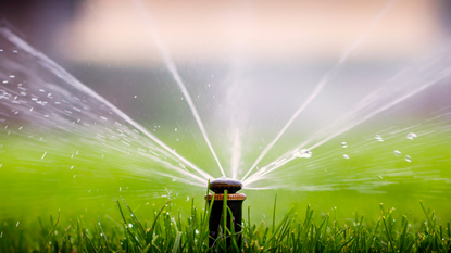 Best garden sprinkler: image depicts green lawn with close up of sprinkler