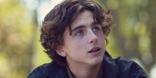 Timothée Chalamet in Lady Bird