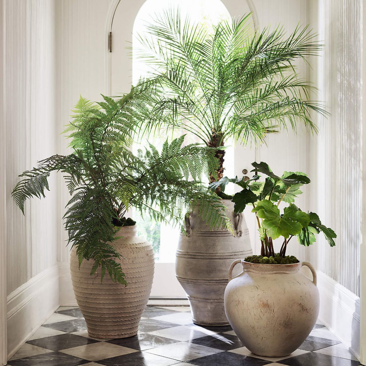 large planters