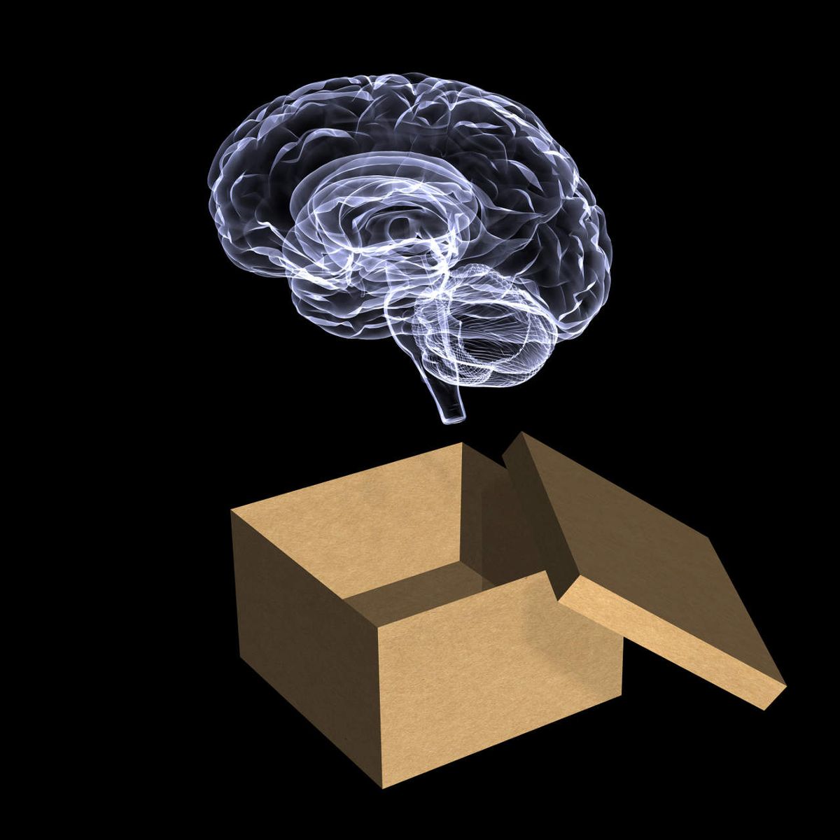 X-ray-like image of brain hovering above cardboard box