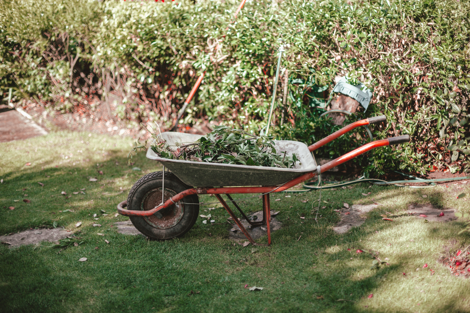 wheelbarrow full of garden debris