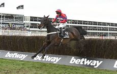 Sprinter-sacre-cheltenham-festival-2016.jpg