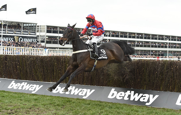 Sprinter-sacre-cheltenham-festival-2016.jpg