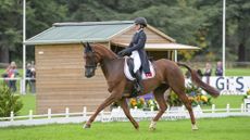 Turkish rider Kumru Say trots Baladin De L&rsquo;Ocean La from right to left in front of the judge's box in the 2025 European Eventing Championships at Blenheim Palace.
