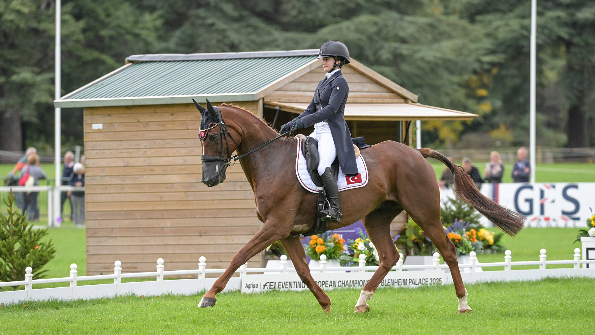 Turkish rider Kumru Say trots Baladin De L&amp;rsquo;Ocean La from right to left in front of the judge's box in the 2025 European Eventing Championships at Blenheim Palace.