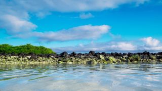 Tortuga Bay, Galapagos Islands