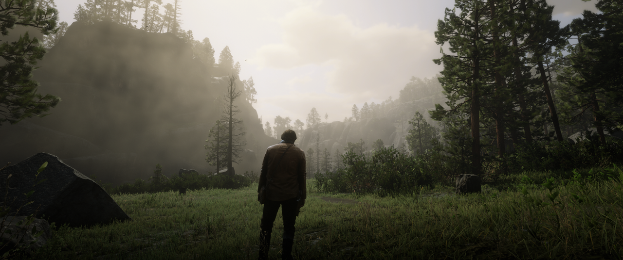 Red Dead Redemption 2 ultrawide