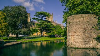 Photo having been improved using ACR