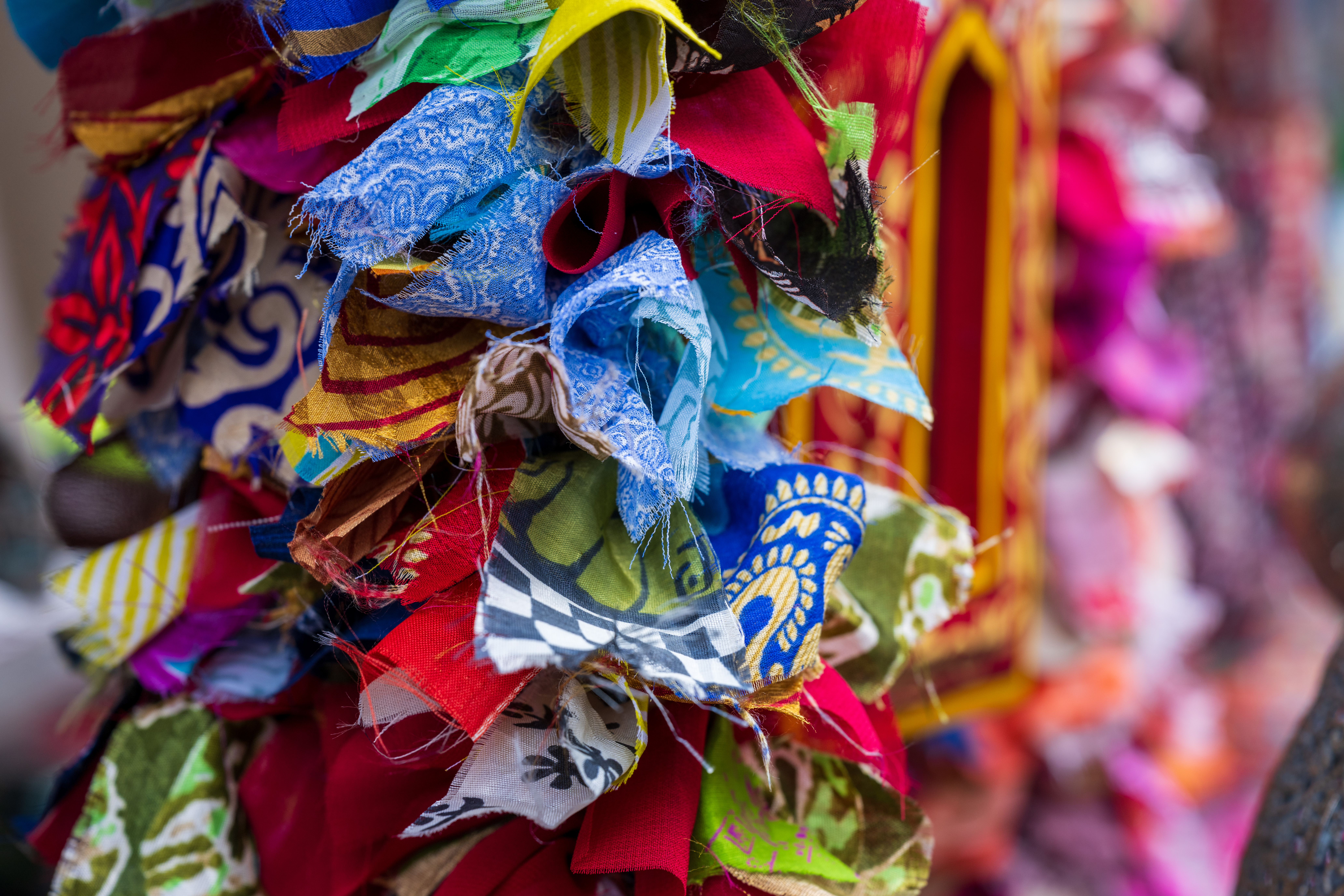 Nikon Z 24‑70mm f/2.8 S II example shot