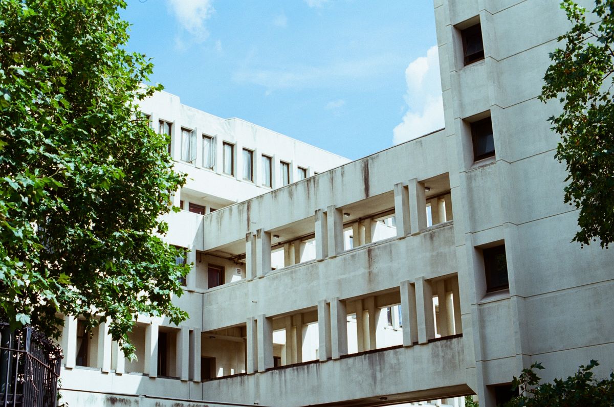 Sample image of Kodak Ektar 100 35mm film, showing vivid colors and ultra-fine grain