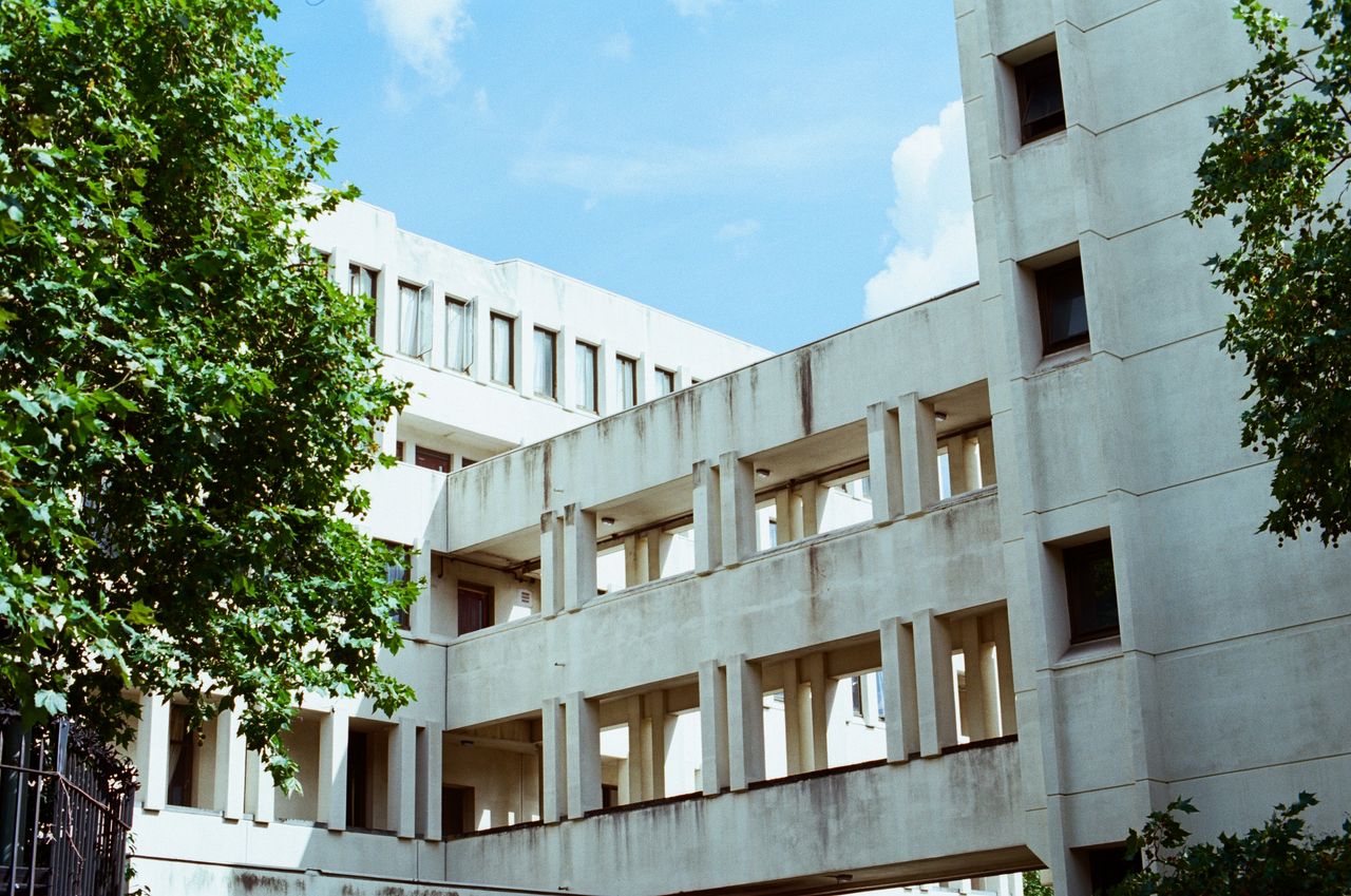 Sample image of Kodak Ektar 100 35mm film, showing vivid colors and ultra-fine grain