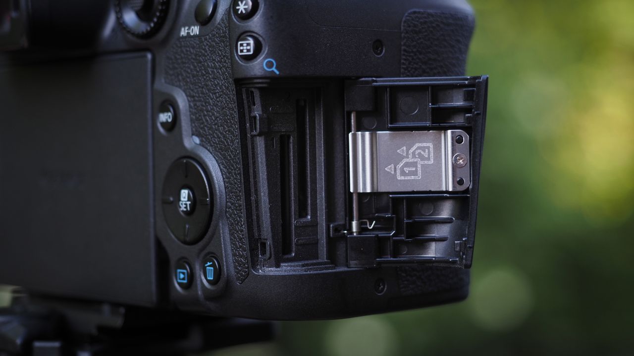 Canon EOS R7 sample