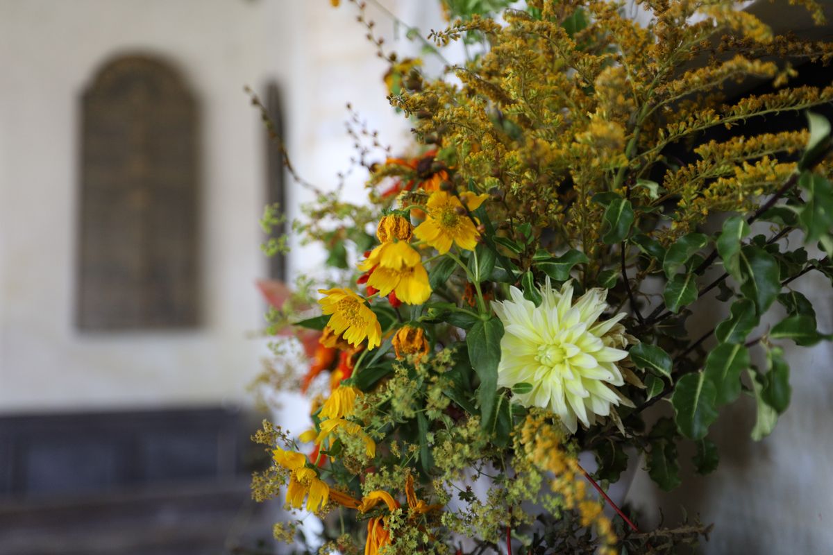 You can get soft background bokeh even with a super-wideangle zoom, thanks to the f/2.8 maximum aperture.