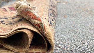 How to remove carpet mold: image shows damp beneath carpet