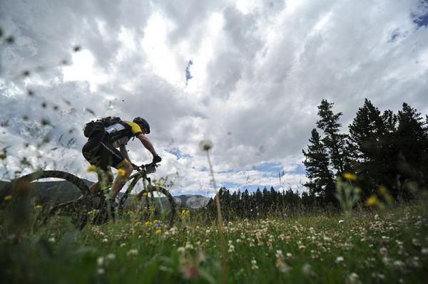 Riding through a field of wildflowers