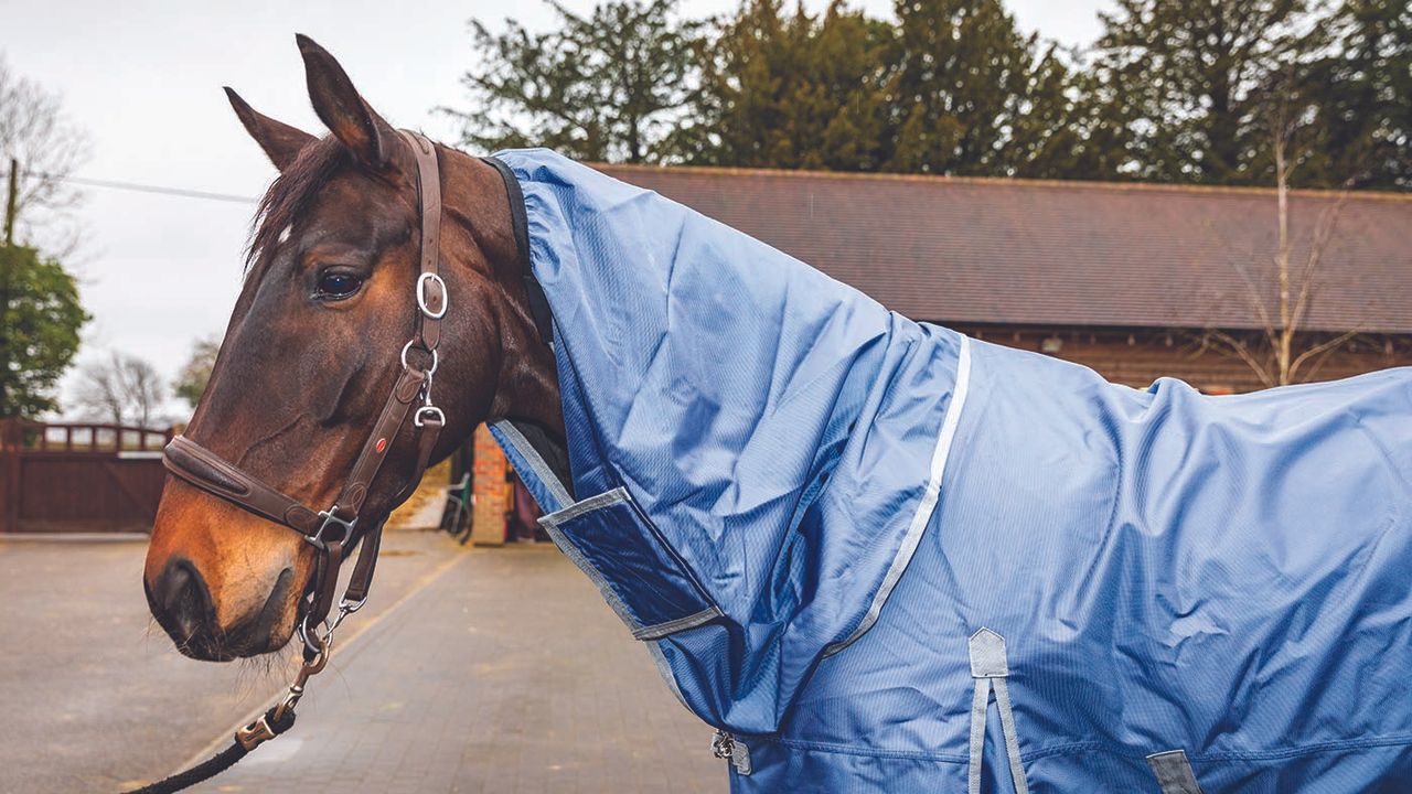 Derby House Elite detach-a-neck turnout review