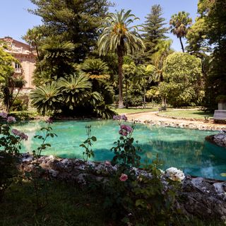 swimming pool surrounded by palm trees, flowers and trees
