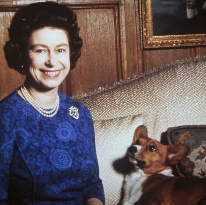 Queen Elizabeth II wearing a blue dress sitting next to a corgi on a sofa