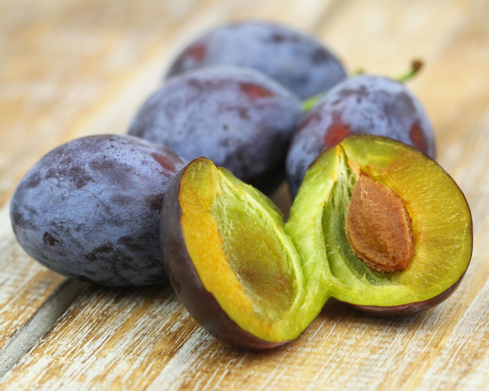 Plum Seed Planting Guide: How To Grow A Plum Tree From A Pit ...