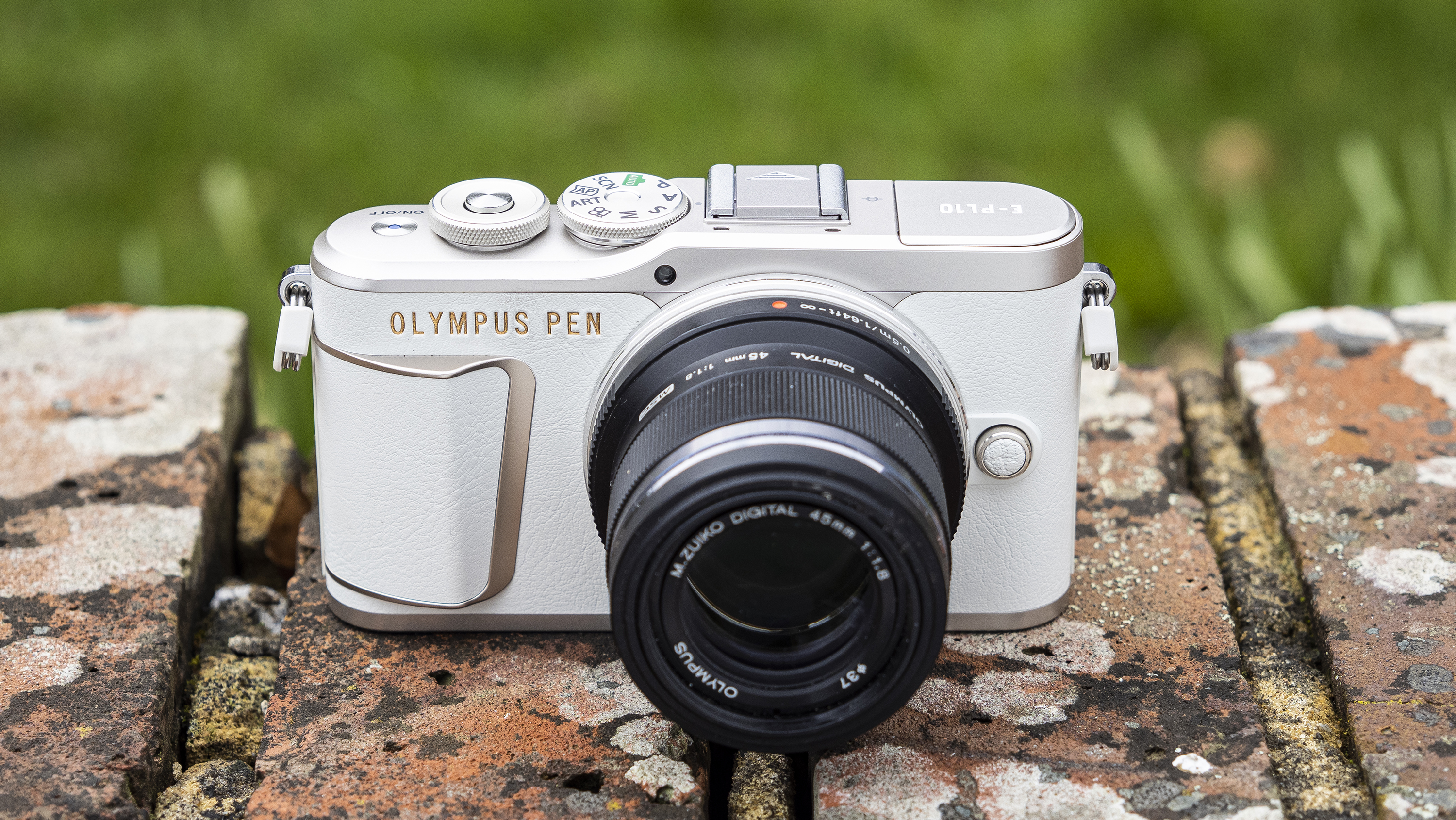 Olympus PEN E-PL10 i hvid står på en mur med en græsplæne i baggrunden