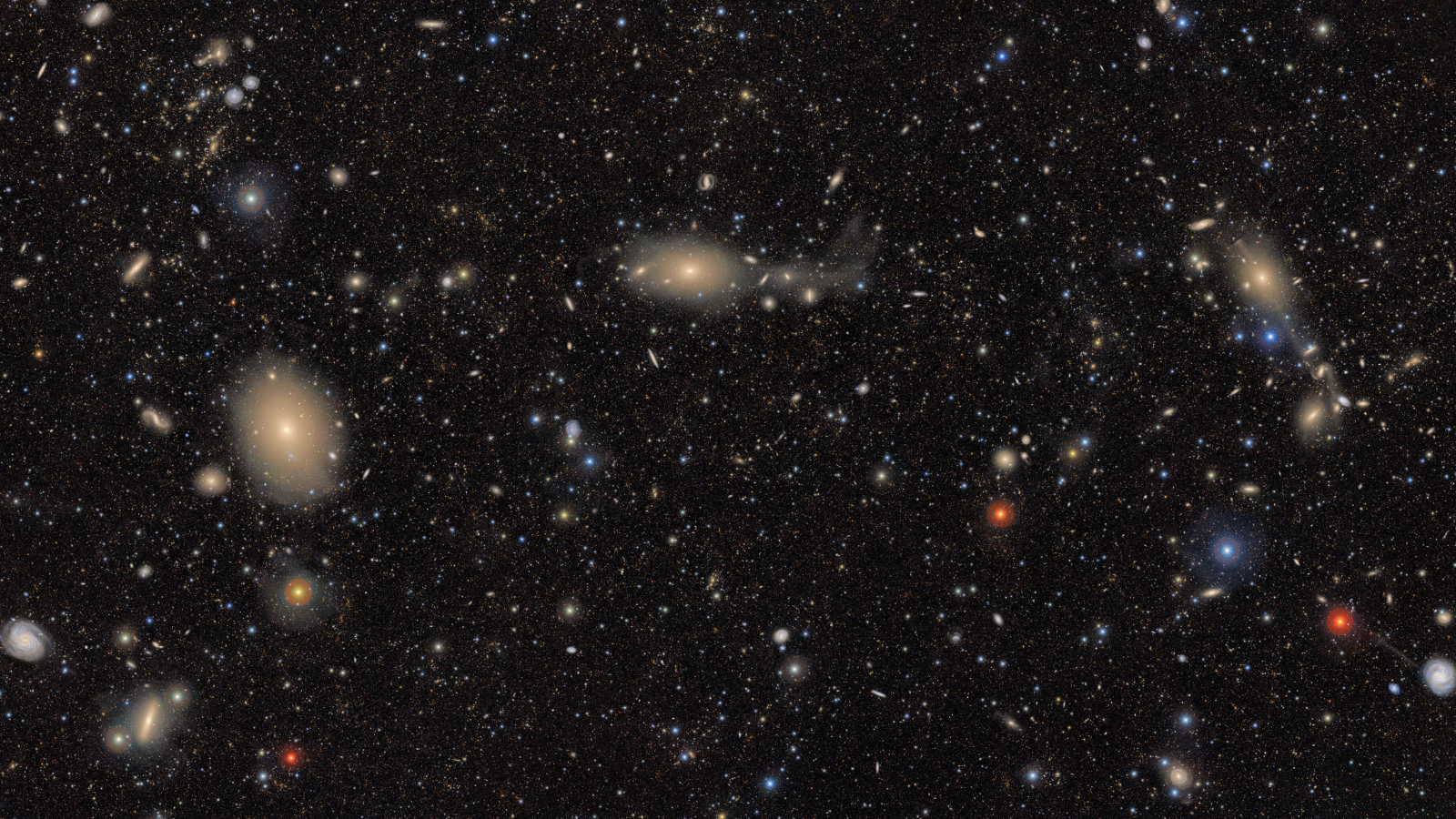 thousands of colorful swirls and pinpoints of light on a black background