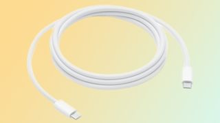Apple USB-C cable in white