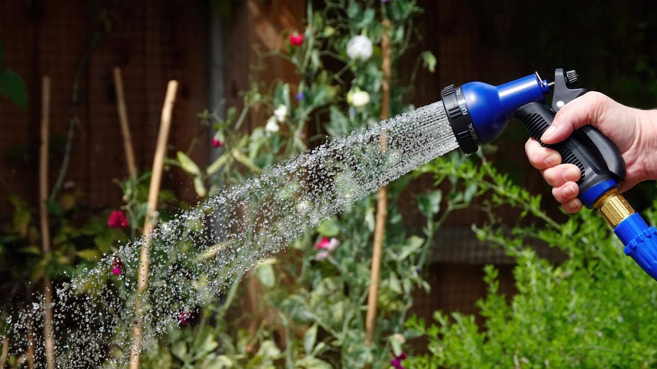 Watering plants deeply in the garden with a hose