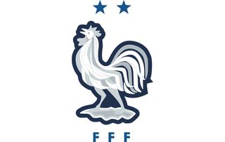 The France national football team badge