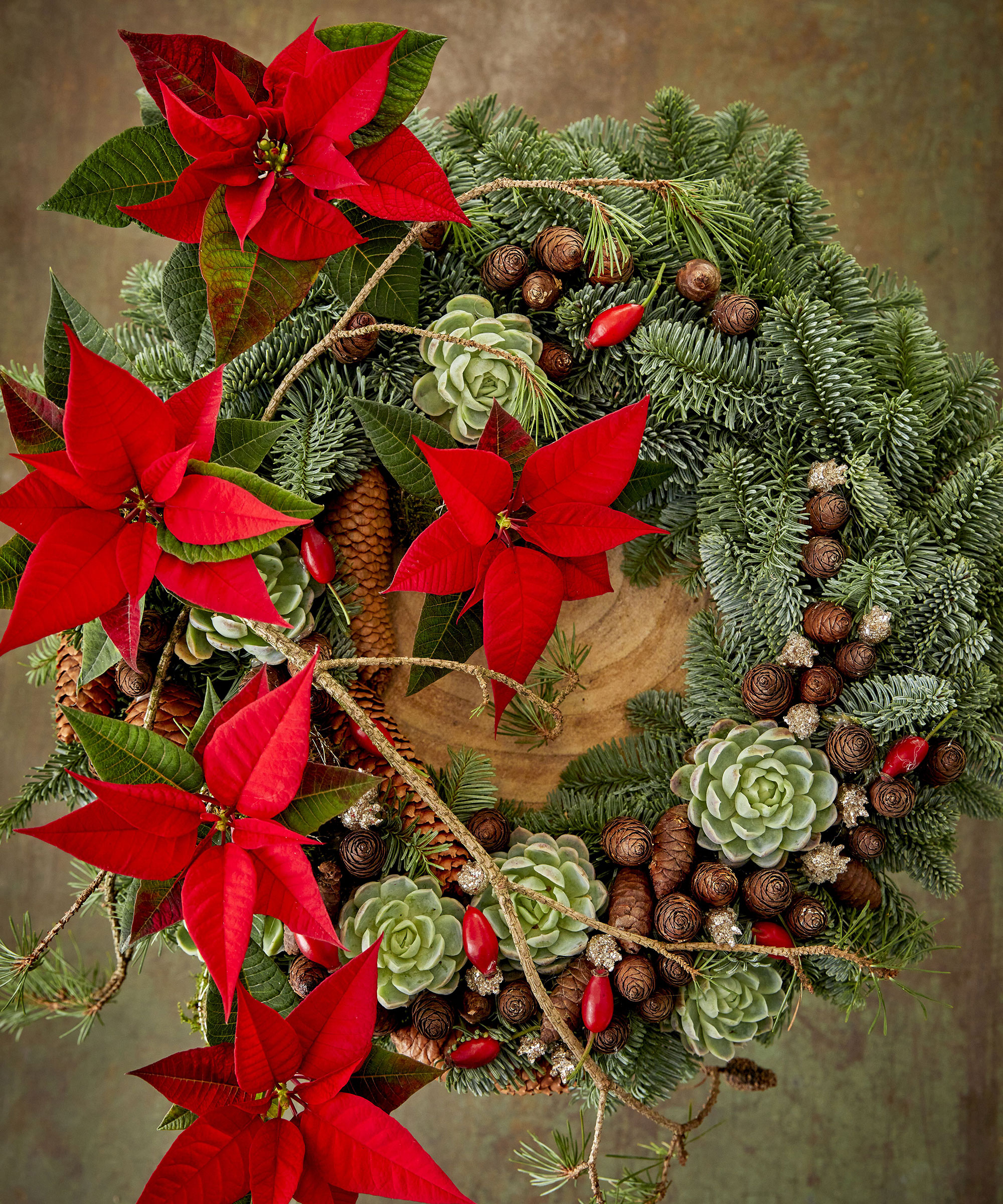 poinsettia door wreath with cones and echeveria