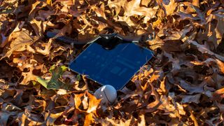 Google Pixel 9 Pro Fold with Pixel Watch 3 and Pixel Buds Pro 2 in leaves