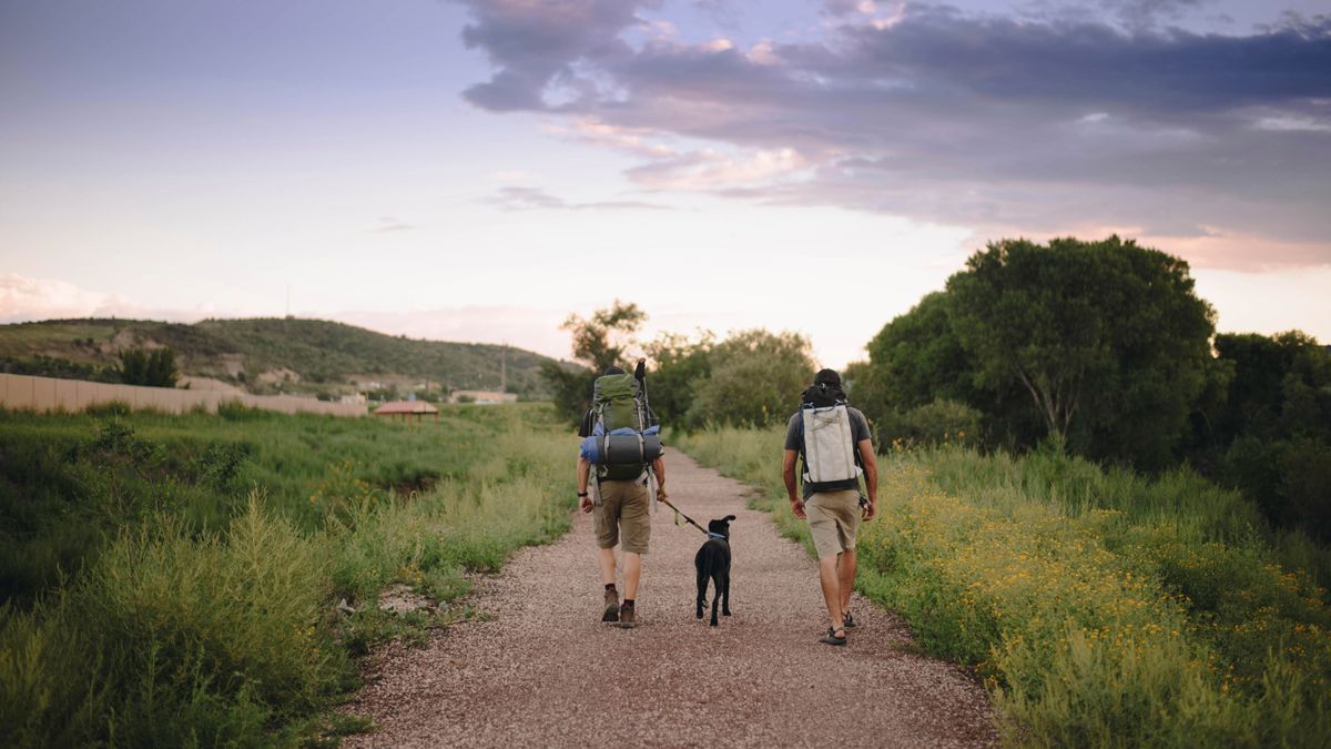 Rear view of friends walking with dog while hiking in forest against sky