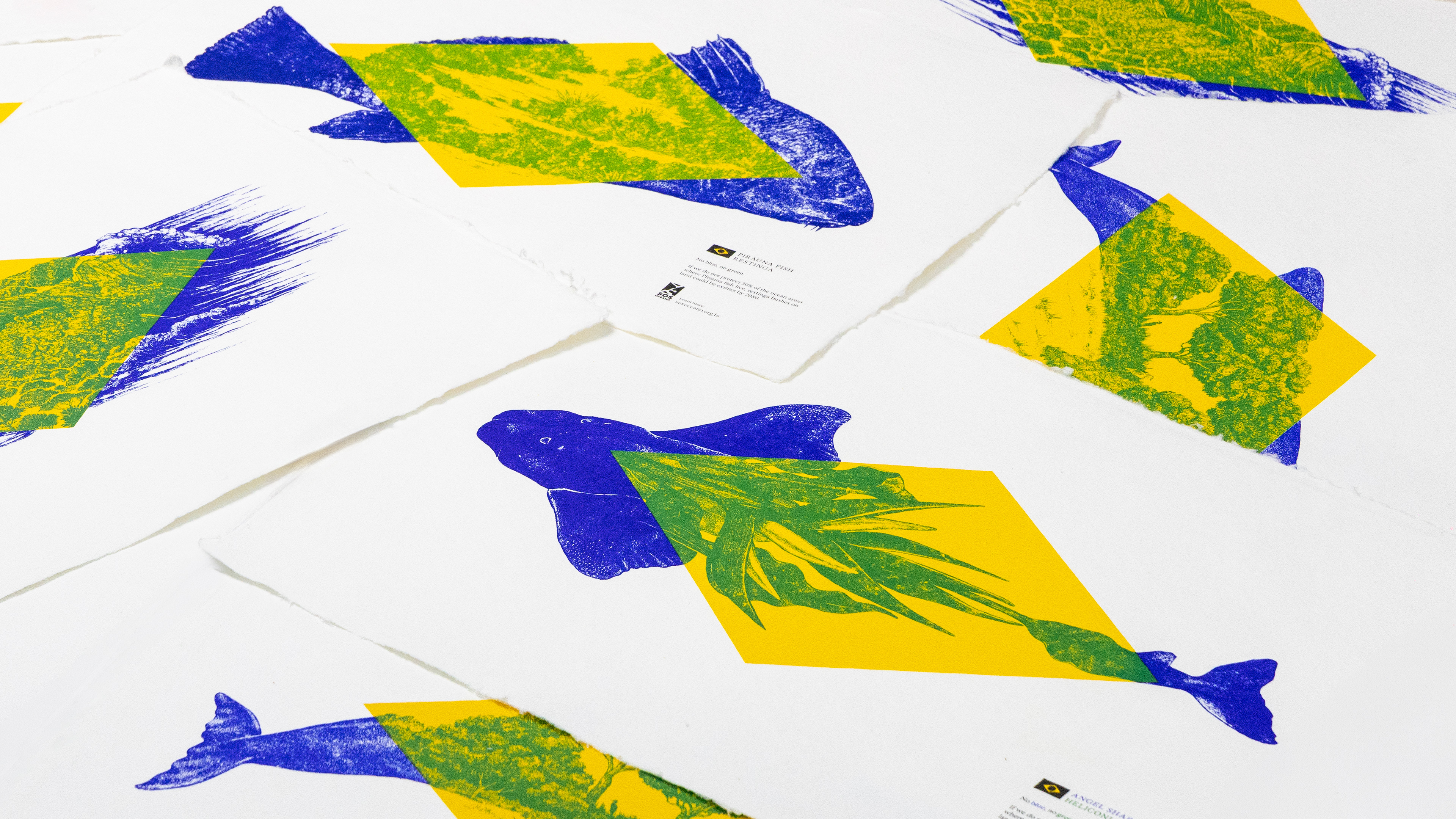 Brazilian flag reimagined for a campaign to raise awareness of ocean conservation