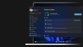 windows 11 pro update