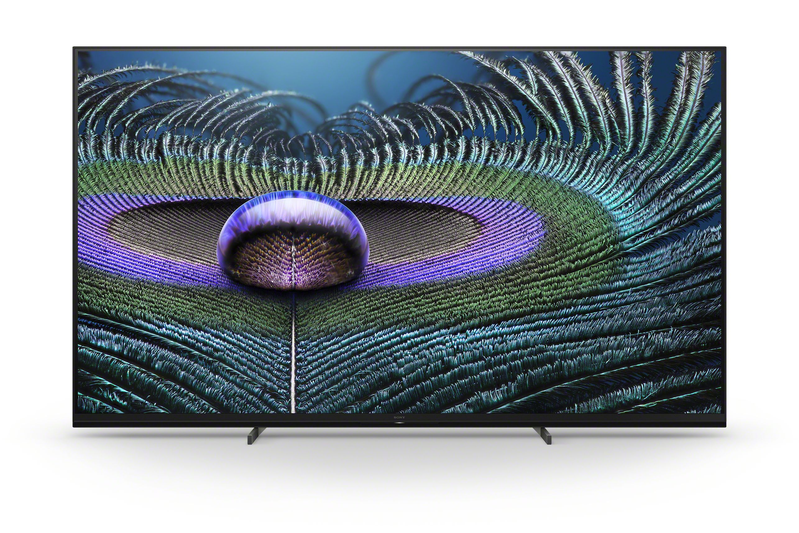 Sony Bravia Z9J 8K
